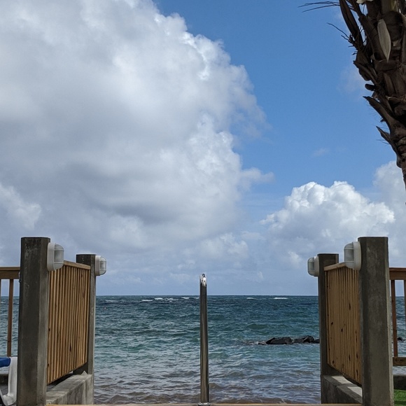 Meet your Posher, Rachele - Picture 1 of 1